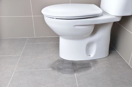 Toilet Overflowing